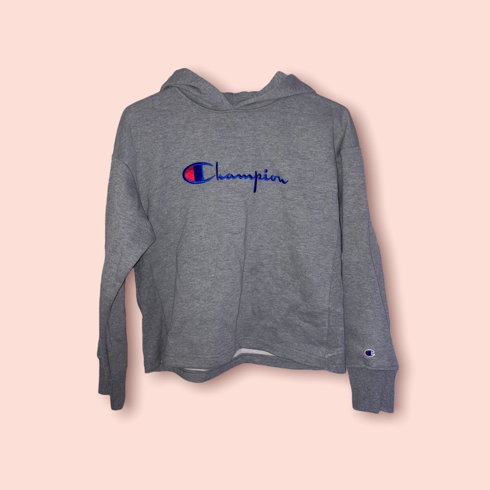 Champion cropped Hoodie New with Tags!!